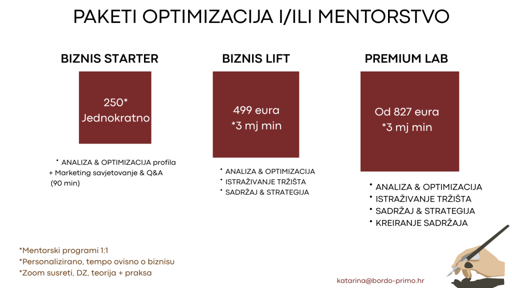 Mentorski program