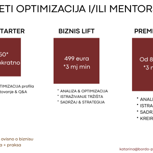 Mentorski program